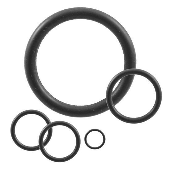 O-RINGS, KALREZ® 4079
