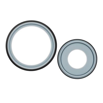GASKETS, SANITARY, PTFE/ELASTOMER CORE