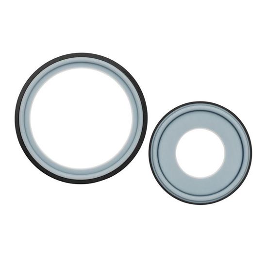 GASKETS, SANITARY, PTFE/ELASTOMER CORE