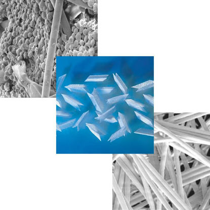 BioNOC™ II CELL CULTURE CARRIERS