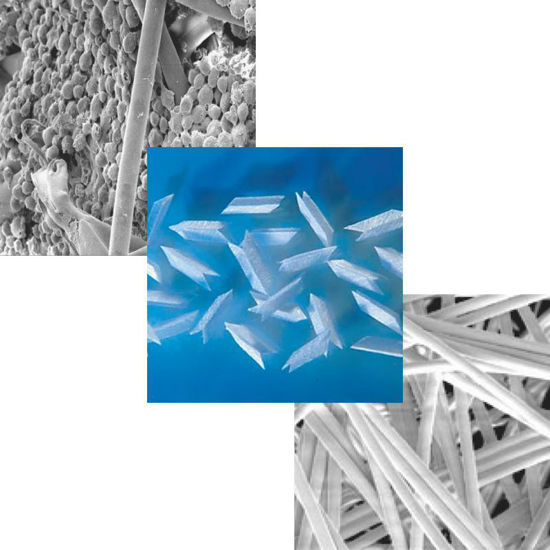 BioNOC™ II CELL CULTURE CARRIERS