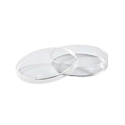PETRI DISHES, NON-TREATED, STERILE, 100MM, ECONOMY