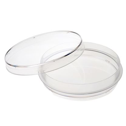 TISSUE CULTURE DISHES WITH GRIPPING RINGS