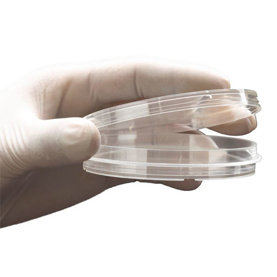 TISSUE CULTURE DISHES WITH GRIPPING RINGS