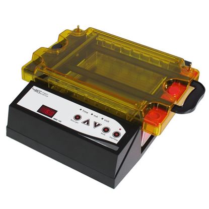 ELECTROPHORESIS SYSTEMS, BLUE LIGHT