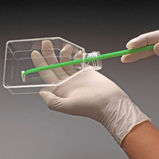CELL SCRAPERS