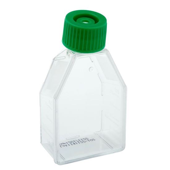 TISSUE CULTURE FLASKS