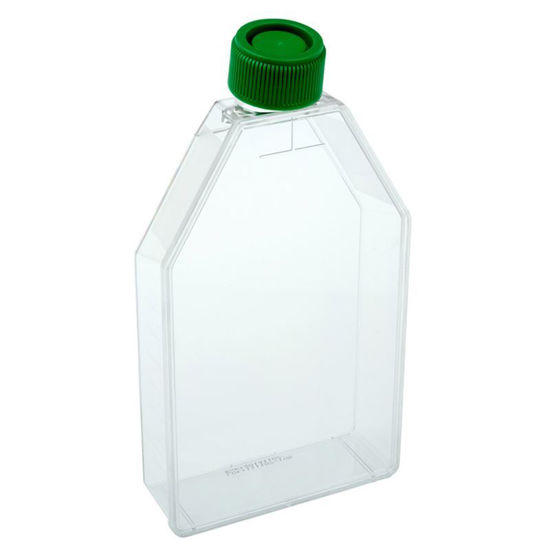 TISSUE CULTURE FLASKS