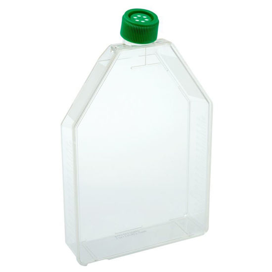 SUSPENSION CULTURE FLASKS