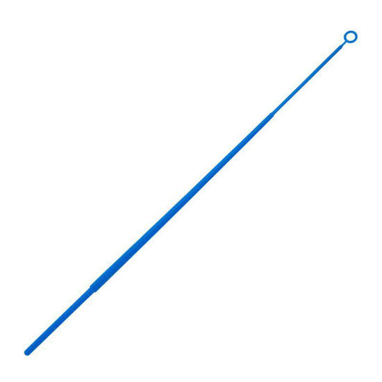 CLS-2458-010; 10µl INOCULATING LOOPS, STERILE