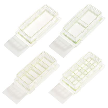 SLIDES, CELL CULTURE, CHAMBERED