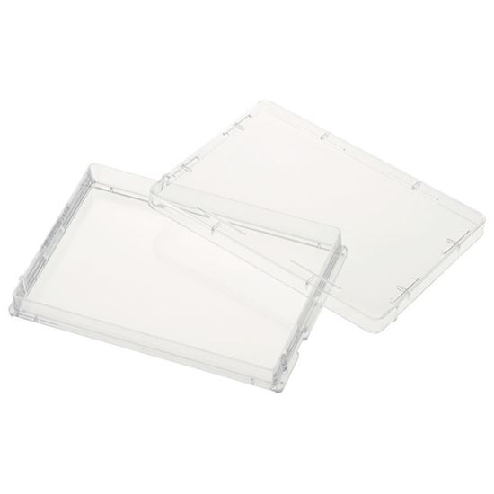 SINGLE WELL PLATES, TISSUE CULTURE TREATED