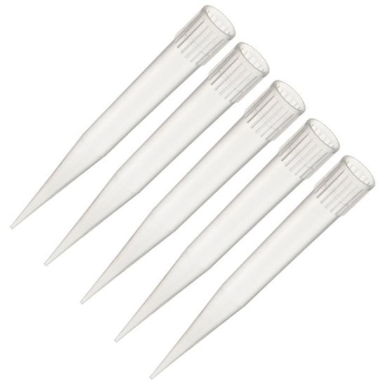 PIPETTE TIPS, LARGE VOLUME, CLEAR, NON-STERILE, MICROPETTE