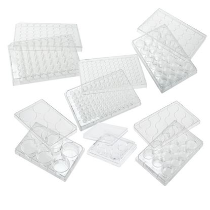 TISSUE CULTURE PLATES, TC TREATED, FLAT BOTTOM, STERILE