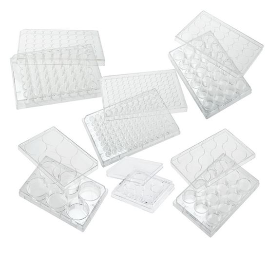TISSUE CULTURE PLATES, TC TREATED, FLAT BOTTOM, STERILE