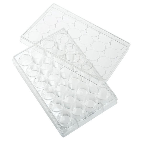 TISSUE CULTURE PLATES, 24 WELL, TC TREATED, FLAT BOTTOM, STERILE