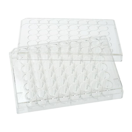PLATES, NON-TREATED, 48 WELL, FLAT BOTTOM, STERILE, WITH LIDS
