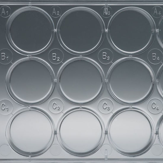 ALPHA NUMERIC MARKINGS