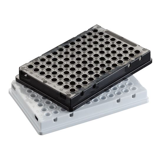 PCR PLATES, SKIRTED, OPAQUE, AMPLATE, 96-WELL, 100µL