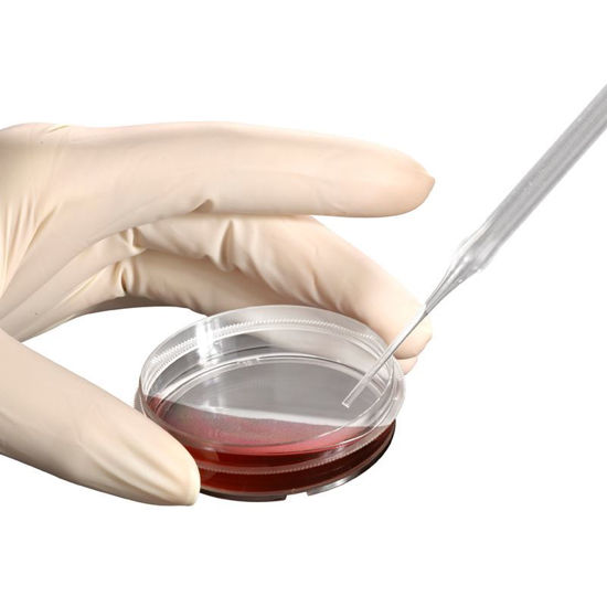 PLASTEUR PLASTIC PASTEUR PIPETS, POLYSTYRENE