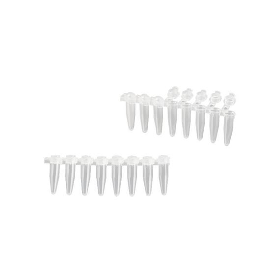 PCR REACTION STRIPS, AMPLITUBE, 0.2ML, WITH ATTACHED CAPS