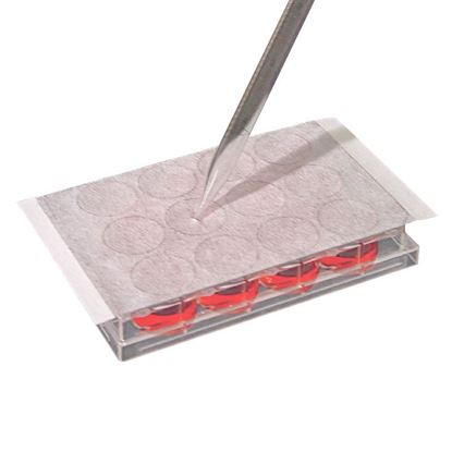 SEALING FILMS, AERASEAL, FOR CELL AND TISSUE CULTURE