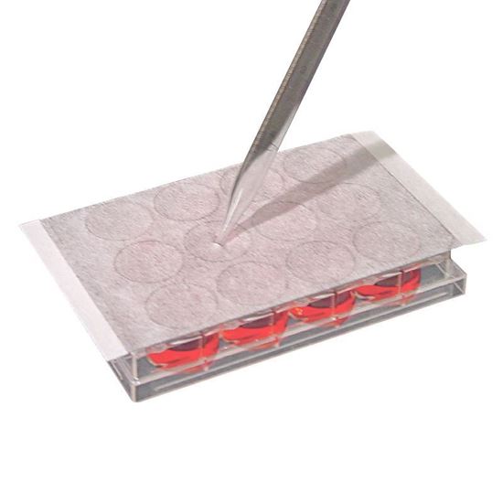 SEALING FILMS, AERASEAL, FOR CELL AND TISSUE CULTURE