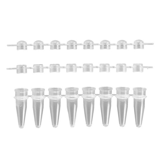 PCR REACTION STRIPS, AMPLITUBE, 0.2ML, AND CAP STRIPS
