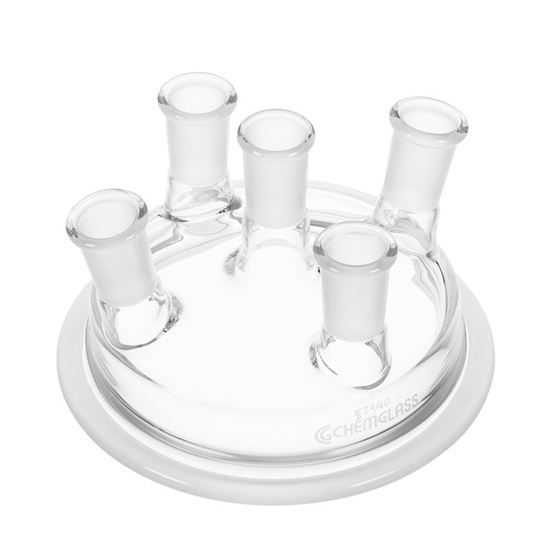 REACTION VESSEL LIDS, 5-NECKS, LOW PROFILE, 10° ANGLED SIDE NECKS