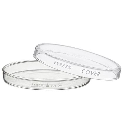 DISHES, PETRI, CULTURE, PYREX®