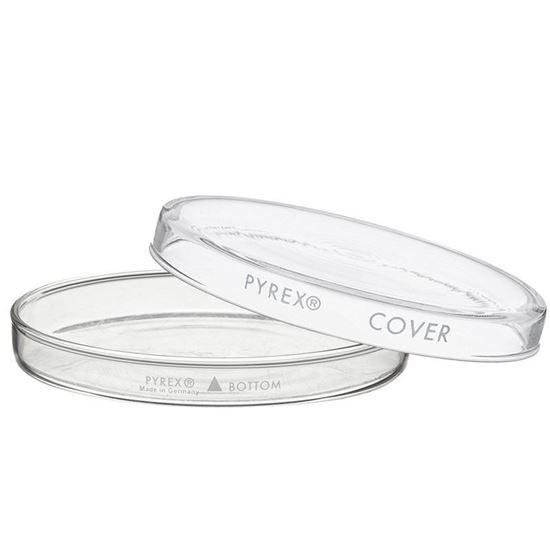 DISHES, PETRI, CULTURE, PYREX®