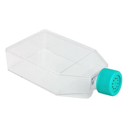CELL CULTURE FLASKS WITH VENT CAPS, TC TREATED, STERILE
