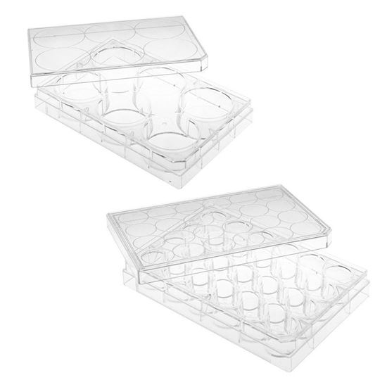 CELL CULTURE PLATES, UNTREATED, STERILE