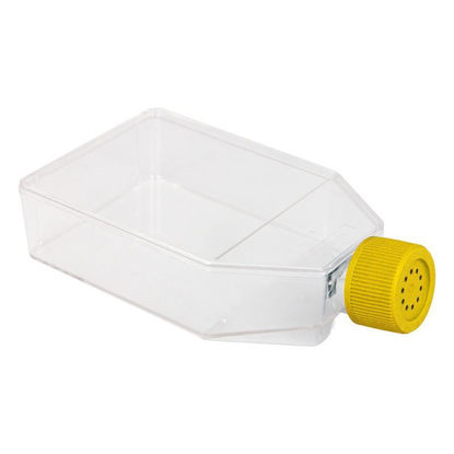 CELL CULTURE FLASKS, TISSUE CULTURE FLASKS, NON-TREATED, VENT CAP, STERILE, NEST