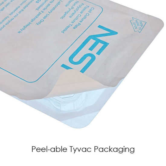 CELL CULTURE PLATES, TREATED, STERILE, NEST
