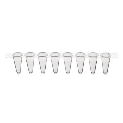 0.2ML PCR 8-STRIP TUBES, CLEAR, NEST