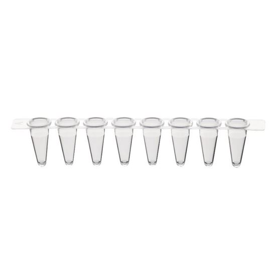 0.2ML PCR 8-STRIP TUBES, CLEAR, NEST