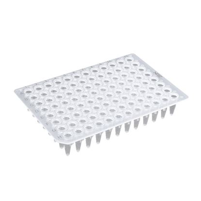 0.2ML 96 WELL PCR PLATE, NO SKIRT, CLEAR, H1 NOTCH, NEST