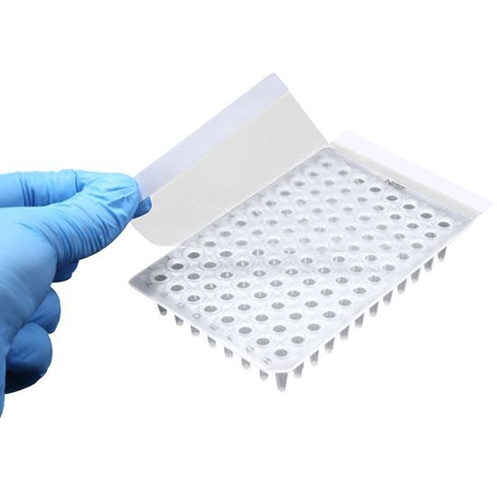 PCR SEALING FILM, ADHESIVE, 146 X 81 MM, NEST