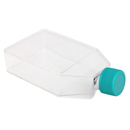 CELL CULTURE FLASKS, TISSUE CULTURE FLASKS, TREATED, PLUG SEAL, STERILE, NEST