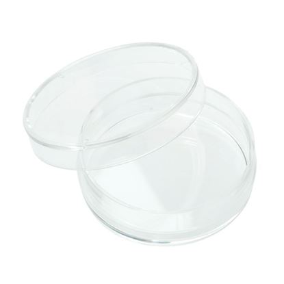 PETRI DISH, NON-TREATED, STERILE, 60MM, NEST