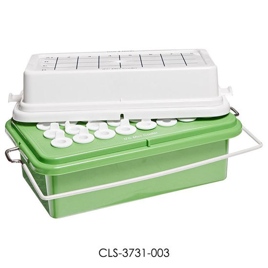 MINI COOLER, TRUE NORTH®, HEATHROW