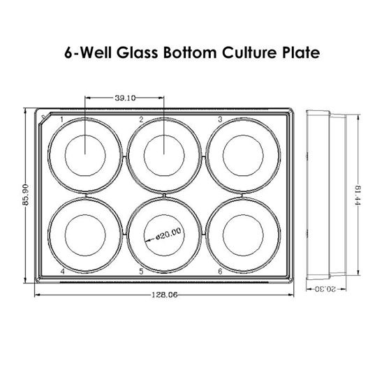 GLASS BOTTOM CELL CULTURE PLATES