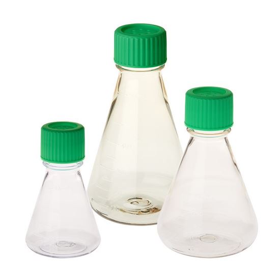 FLASKS, ERLENMEYER, POLYCARBONATE, GRADUATED, PLAIN BOTTOM, VENT CAPS, STERILE