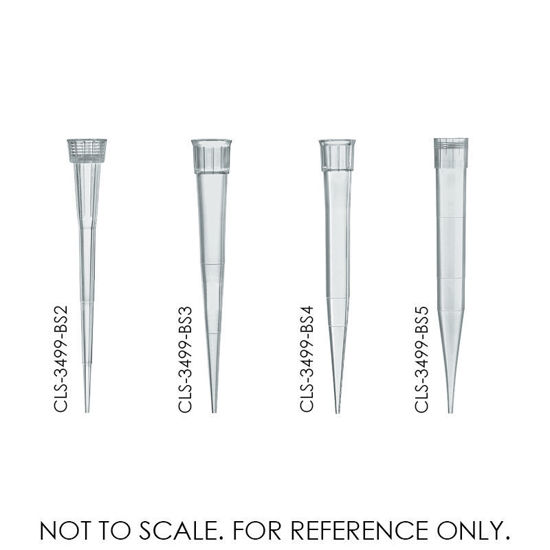 PIPETTE TIPS, STANDARD, STERILE, BRAND
