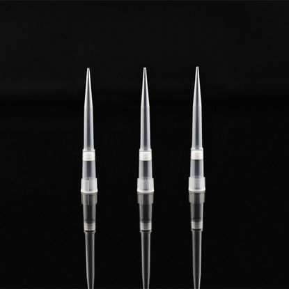 AUTOMATION FILTER TIPS FOR TECAN, CLEAR, BOXED, NEST