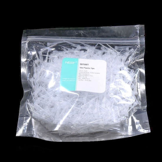 PIPETTE TIPS, CLEAR, NON-STERILE, BULK, NEST