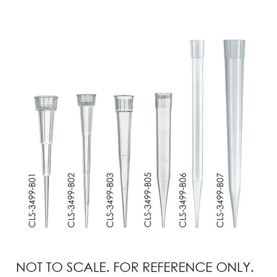 PIPETTE TIPS, STANDARD, BRAND