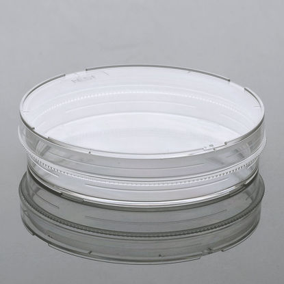 PETRI DISH, NON-TREATED, STERILE, 100MM, NEST