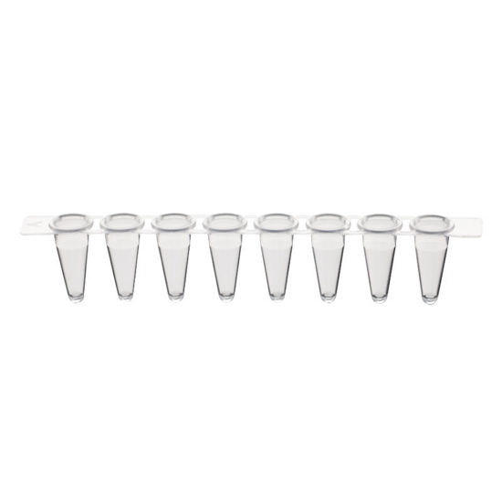 0.2ML PCR 8-STRIP TUBES, CLEAR, STERILE, NEST